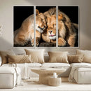 Lion and Lioness Wall Art Canvas Print – Framed African