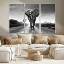 Black and White Elephant Wall Art Canvas Print