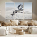 Prancing Horse Desert Large Wall Art Canvas Print – Majestic