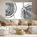 Abstract Large Tree Rings – Minimalist Black and White Wood