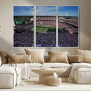 South Carolina Gamecocks Football Team Print - Columbia