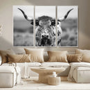 Texas Cow Longhorn Wall Art Canvas Print for Farm House Wall