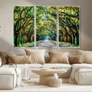 Serene Tree Tunnel Wall Art Canvas Print – Pathway Under by MyGreatCanvas | Canvas Wall Art Prints | Photo Prints & Wall Decor