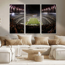 Eagles Field Stadium Wall Art - Philadelphia Eagles Football
