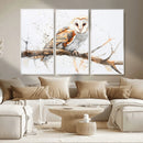 Barn Owl Wall Art on Branch | Stunning Canvas Print for