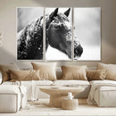 Horse Canvas Print - Winter Horse Snow Wall Art Canvas Print by MyGreatCanvas | Canvas Wall Art Prints | Photo Prints & Wall Decor
