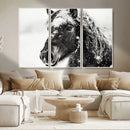 Framed Black and White Horse Wall Art | Ready to Hang and by MyGreatCanvas | Canvas Wall Art Prints | Photo Prints & Wall Decor