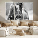 Black and White Horse Winter Wall Art | Ready to Hang and