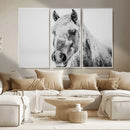 White Horse Wall Art | Ready to Hang and Framed | Winter