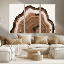 Rustic Wood Rings Wall Art | Nature-Inspired Tree Ring