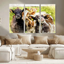 Curious Cows Farmhouse Wall Art | Ready to Hang and Framed