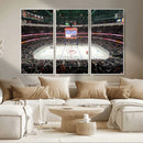Honda Center California Anaheim Ducks Ice Hockey Stadium