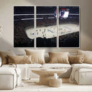 Honda Center California Anaheim Ducks Hockey Stadium Wall