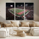 Houston Cougars Football Team Print - Houston TDECU Stadium