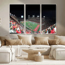 Houston Cougars Football Team Print - Houston TDECU Stadium