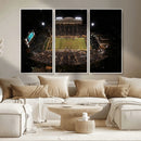 Wake Forest University Demon Deacons Canvas Printi, Football