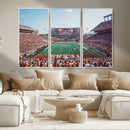 Framed Texas Memorial Stadium Canvas, University of Texas