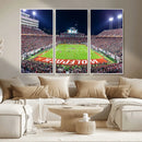 Wolfpack Football Team Print - Raleigh Carter-Finley Stadium
