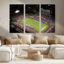 Florida Atlantic University Owls Canvas Print, Football Team by MyGreatCanvas | Canvas Wall Art Prints | Photo Prints & Wall Decor