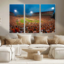 Clemson University Tigers Football Team Print - Clemson