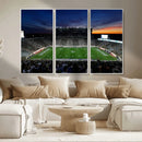 Michigan State Spartans Football Team Print - East Lansing