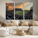 Michigan State Spartans Football Team Print - East Lansing