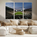 Michigan State Spartans Football Team Print - East Lansing