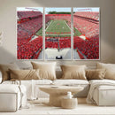Rutgers Scarlet Knights Football Team Print - Piscataway SHI by MyGreatCanvas | Canvas Wall Art Prints | Photo Prints & Wall Decor