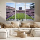 TCU Horned Frogs Football Team Print - Fort Worth Amon G.