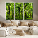 Lush Green Forest Canvas Print | 3-Panel Forest Wall Art |