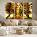 Sunshine in Forest and Trees Wall Art Canvas Print by MyGreatCanvas | Canvas Wall Art Prints | Photo Prints & Wall Decor