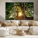 Majestic Ancient Tree Wall Art, NatureCanvas Print, Woodland by MyGreatCanvas | Canvas Wall Art Prints | Photo Prints & Wall Decor