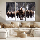 Bison Wall Art Canvas Print- Bison Herd Canvas Wall Art –