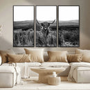Black and White Highland Cow Canvas Wall Art, Longhorn by MyGreatCanvas | Canvas Wall Art Prints | Photo Prints & Wall Decor