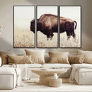 Bison in Field Wall Art Canvas Print For Farmhouse Barn