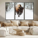 Bison Wall Art Canvas Print For Farmhouse, Animal Canvas