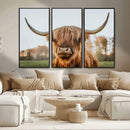 Highland Cow Animal Scottish Cattle Art Print Farmhouse Wall
