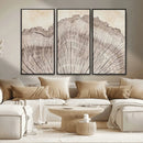 Tree Ring Wall Art Triptych, Rustic Wood Ring Canvas Print,