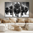 American Bison Art | Buffalo Herd Wall Art Canvas Print, BW