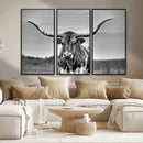 Texas Longhorn Cow Wall Art, Texas Longhorn Canvas, Cattle