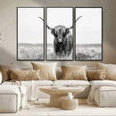 Highland Cow Canvas Wall Art – Majestic Beauty in Black and