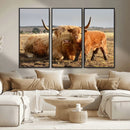 Highland Cow Canvas Wall Art Animal Print for Farm House