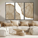 Rustic Brown Tree Ring Wall Art Canvas Print – Framed and