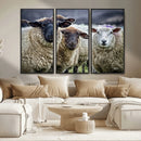 Charming Sheep Portrait Wall Art – Trio of Woolly Companions by MyGreatCanvas | Canvas Wall Art Prints | Photo Prints & Wall Decor