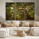 Ancient Angel Oak Tree Art Sunburst Canvas Print-