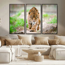 Leopard on the Prowl - Stunning Large Framed Leopard Wall