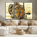 Blue-Eyed Leopard Canvas Wall Art - Framed Animal Print
