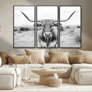 Highland Cow Wall Art Canvas Print – Black and White Western