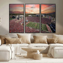 Indiana Memorial Stadium Wall Art Canvas Print, Framed