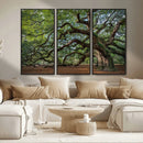 Historic Tree Wall Art – Framed Mossy Branch Canvas Artwork, by MyGreatCanvas | Canvas Wall Art Prints | Photo Prints & Wall Decor